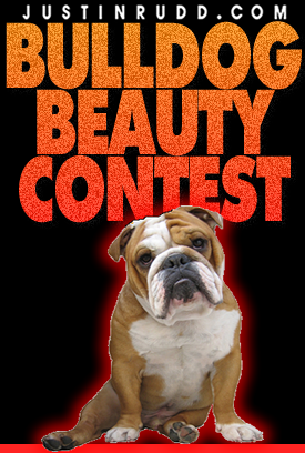 Bulldog Beauty Contest