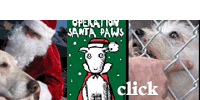 Operation Santa Paws