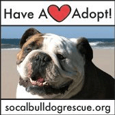 southern california bulldog rescue